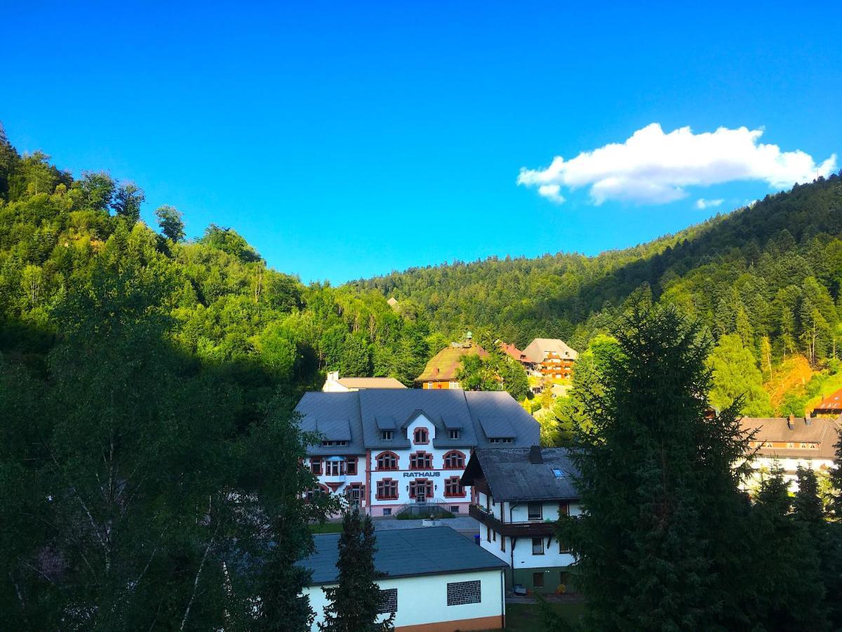 Ferienwohnung Schwarzwald Todtmoos Exterior photo